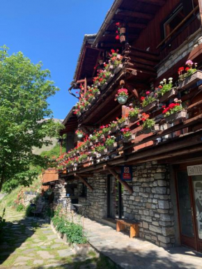 Le p'tit coin montagne 2 Bonneval-Sur-Arc